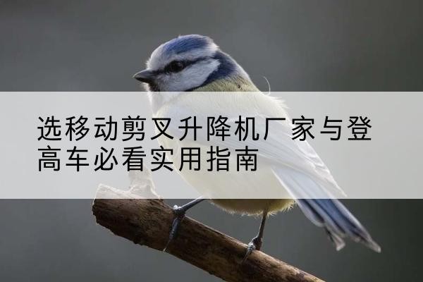 开鲁电动升降机厂家-选移动剪叉升降机厂家与登高车必看实用指南
