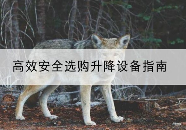 开鲁升降货梯厂家推荐-*安全选购升降设备指南